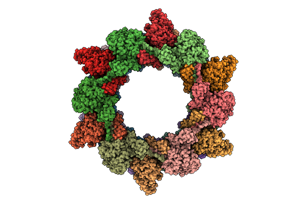 9QGP image