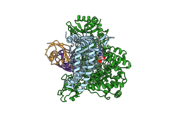 9QGR image