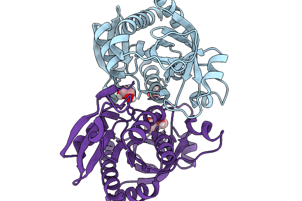 9QH2 image