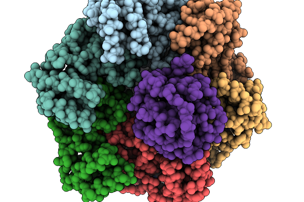 9QHF image