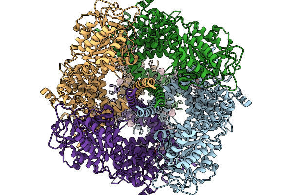 9QHP image