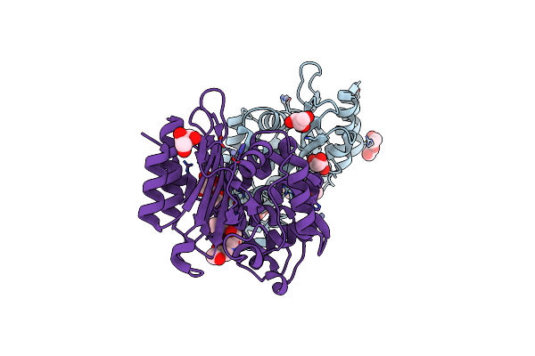 9QI6 image
