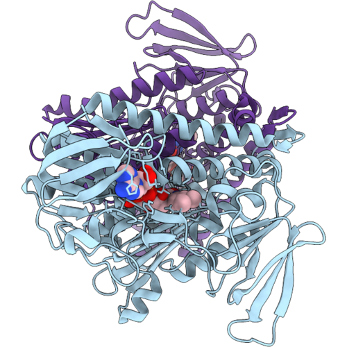 9QJB image