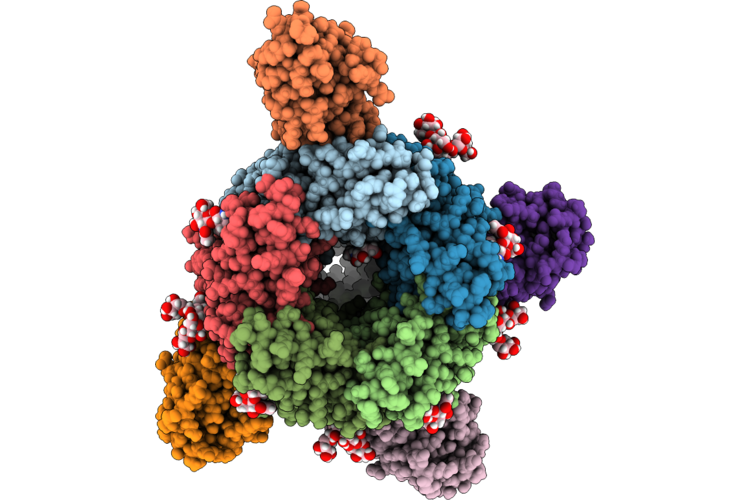 9QJS image