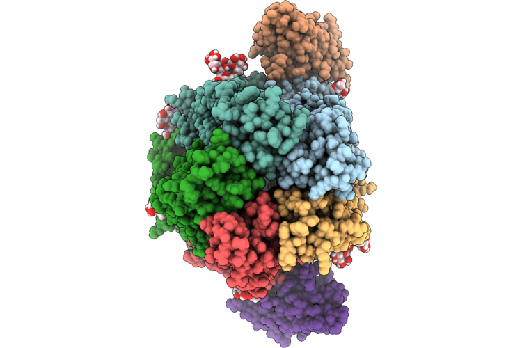 9QJX image