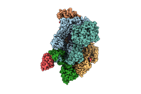 9QK2 image