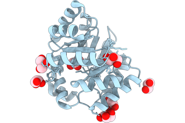 9QKX image