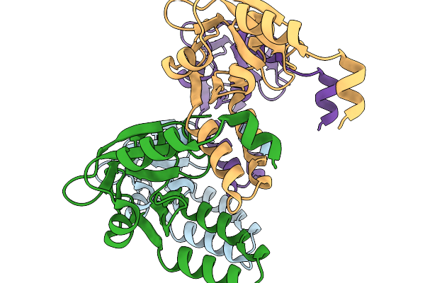 9QLG image
