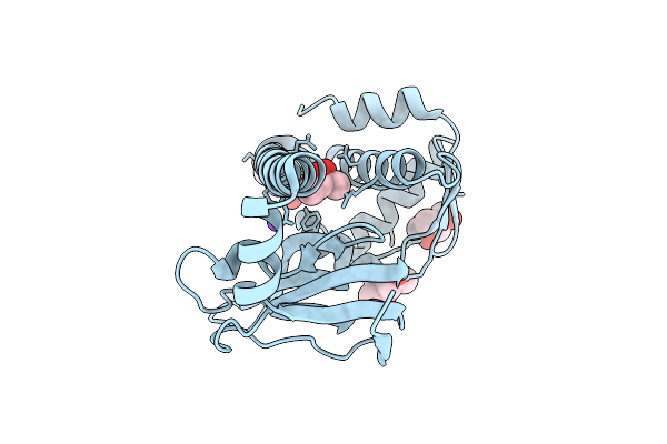 9QLJ image