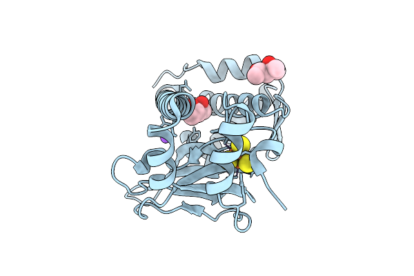 9QLL image