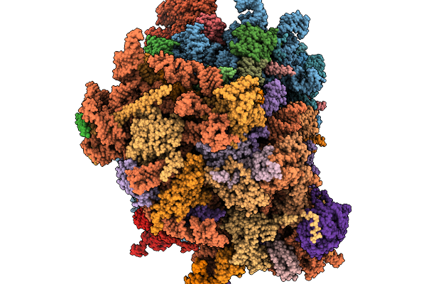9QLP image