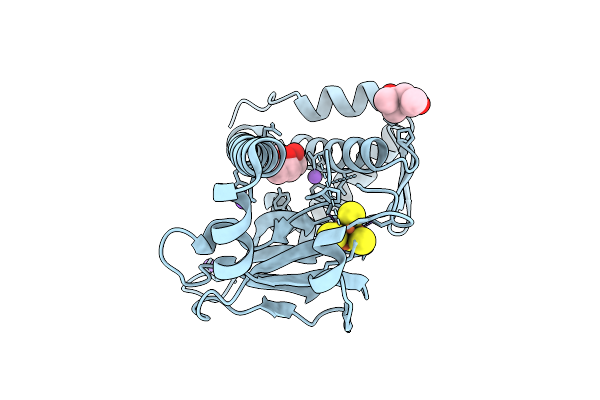 9QLX image