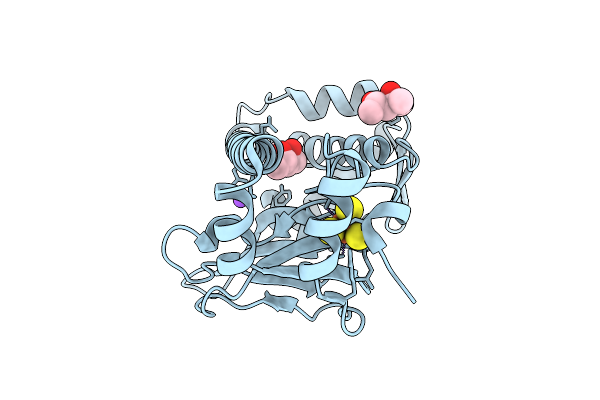 9QMC image