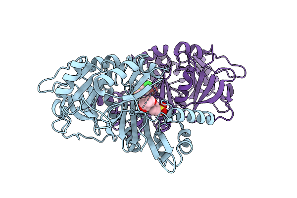 9QMI image