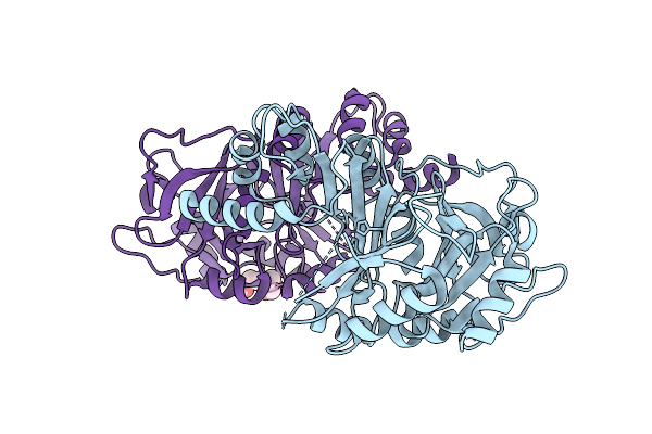 9QMN image