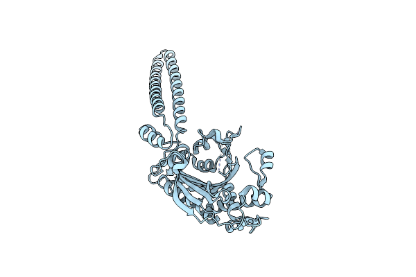 9QMP image