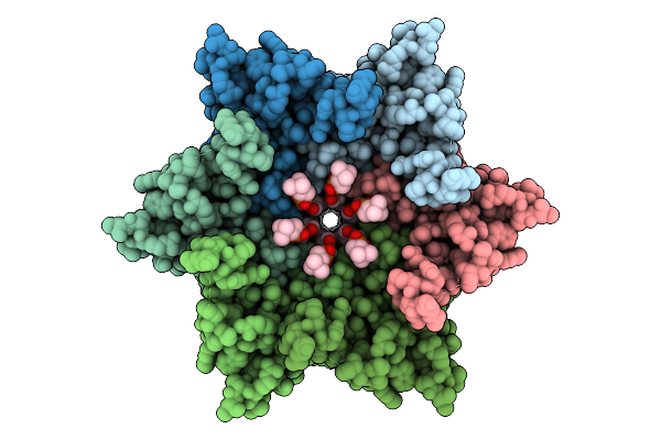 9QNF image
