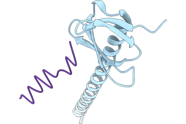 9QNU image