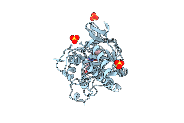 9QPG image