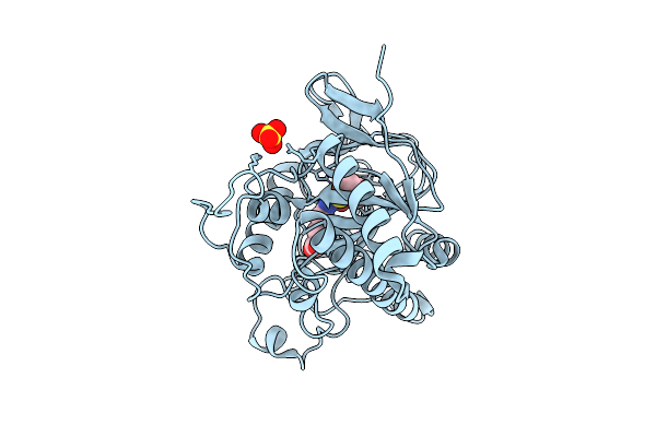 9QPH image