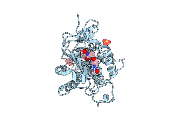 9QPI image