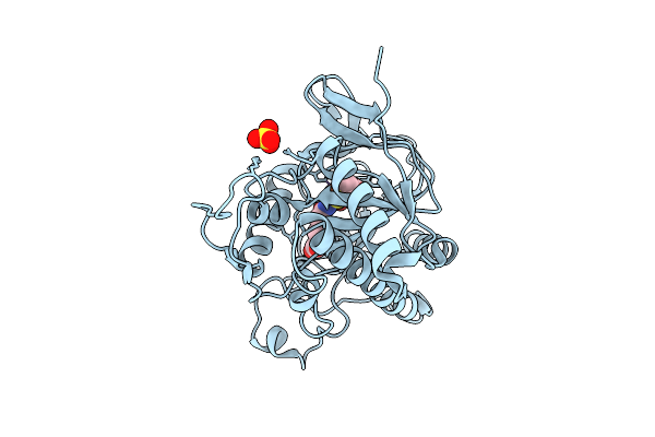 9QPJ image