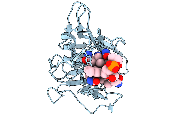 9QPM image