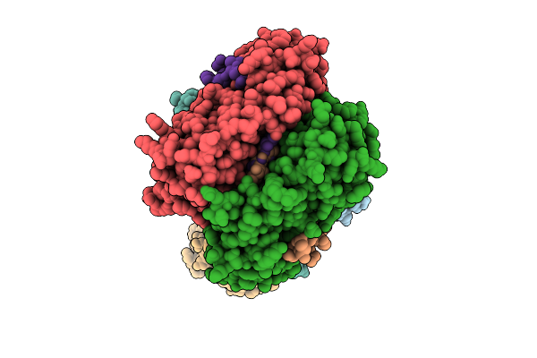 9QPP image