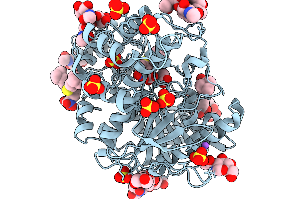 9QPU image
