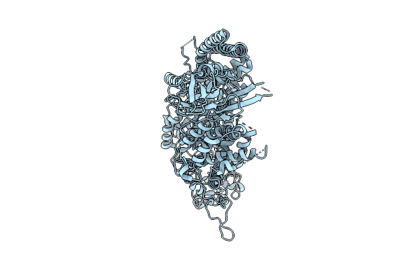 9QPV image