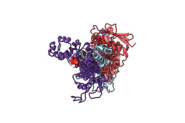 9QQ6 image