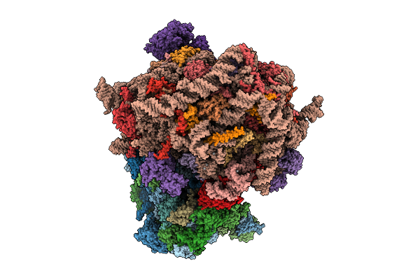 9QQA image