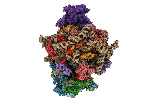 9QQB image
