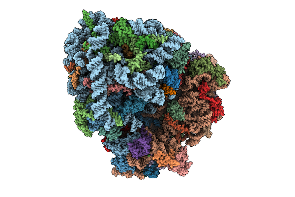 9QQL image