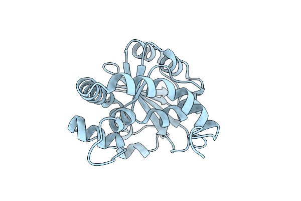 9QRF image