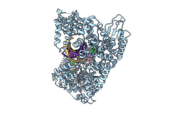 9QRL image