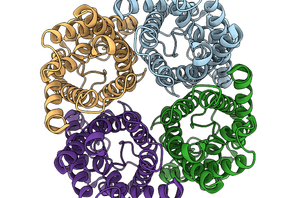 9QSZ image