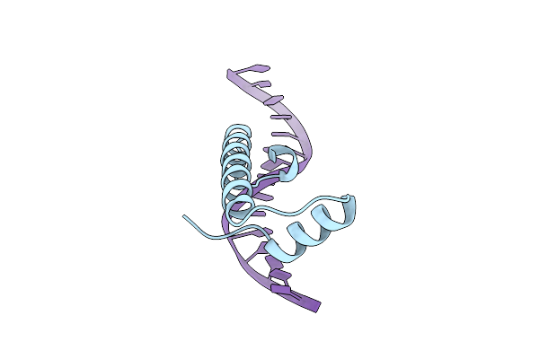 9QT2 image