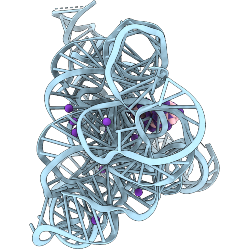 9QTX image