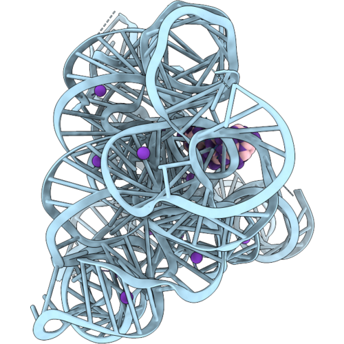 9QTZ image