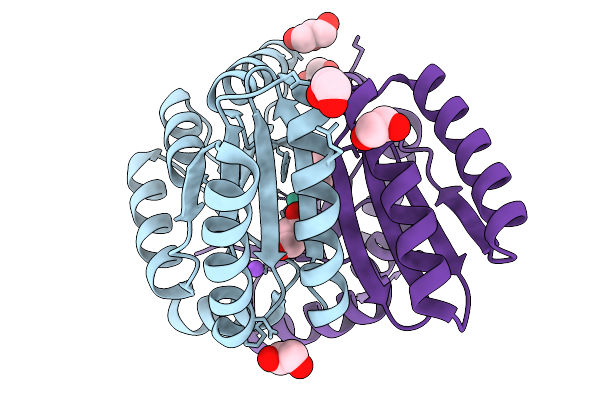 9QUP image