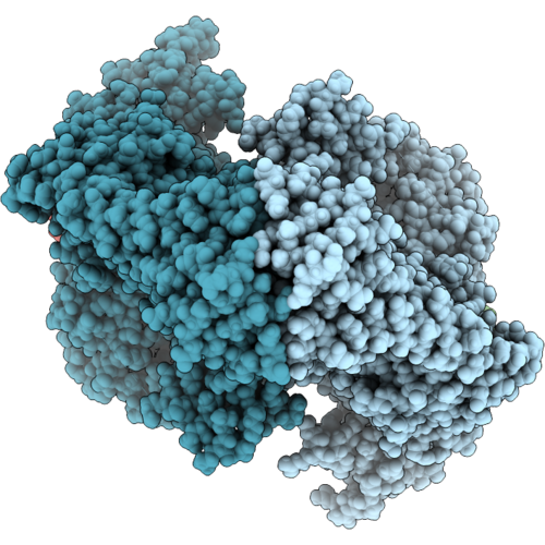 9QUT image