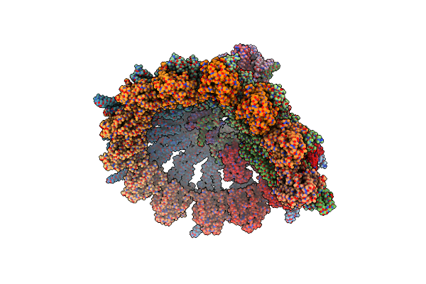 9QVM image