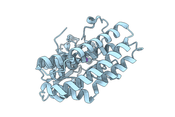 9QVS image