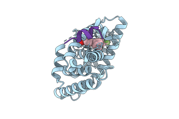9QX6 image