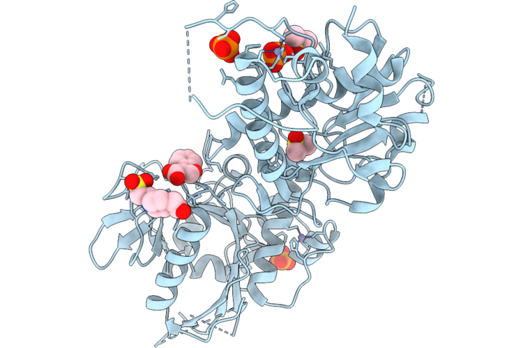 9QXC image
