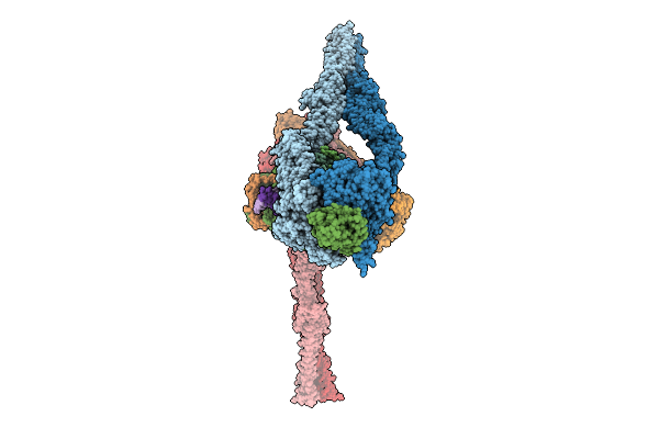 9QXT image