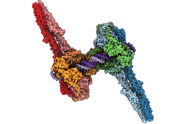 9QXX image