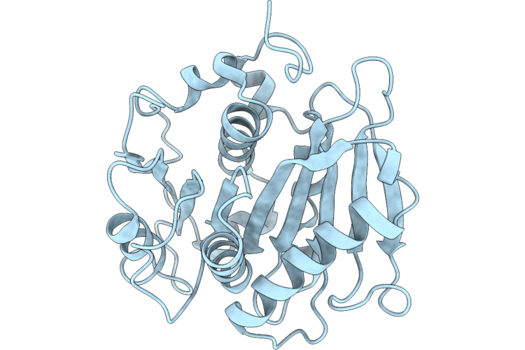 9QYB image