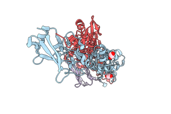 9R09 image